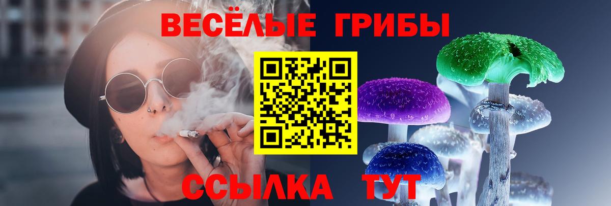 Галлюциногенные грибы мухоморы  Псилоцибиновые грибы MAGIC MUSHROOMS  Холмск  Вход с VPN 